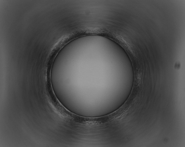 X0000091190686200708301238