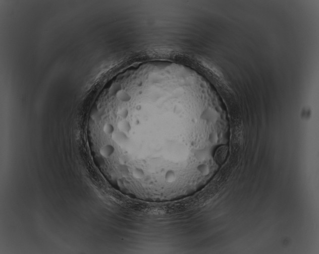 X0000091190687200708301238