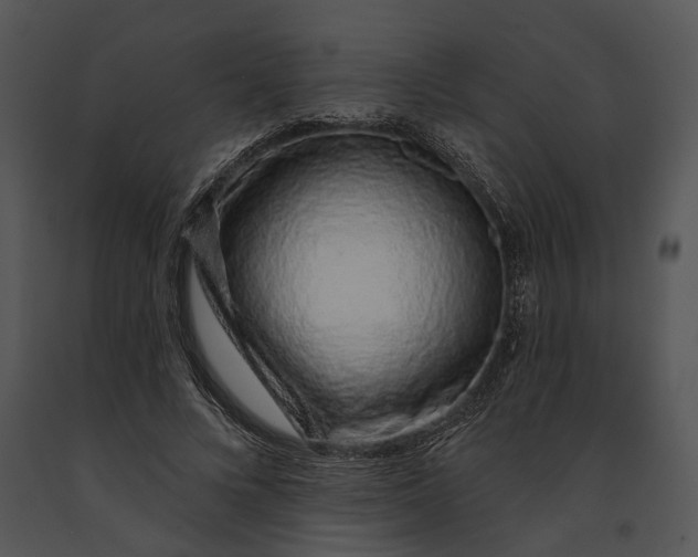 X0000091190688200708301237