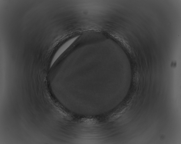 X0000091190689200708301237