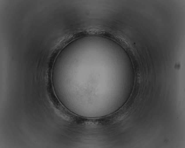 X0000091190690200708301237