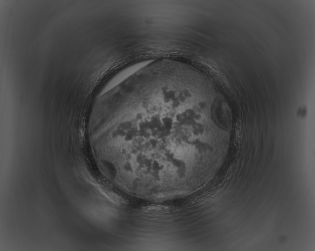 X0000091190691200708301237