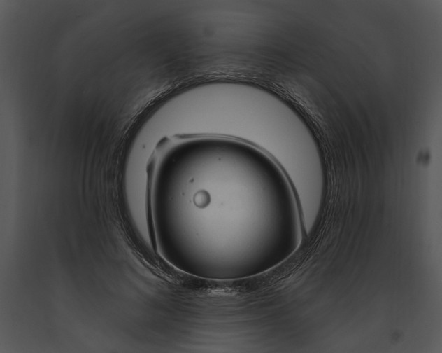 X0000091190692200708301237