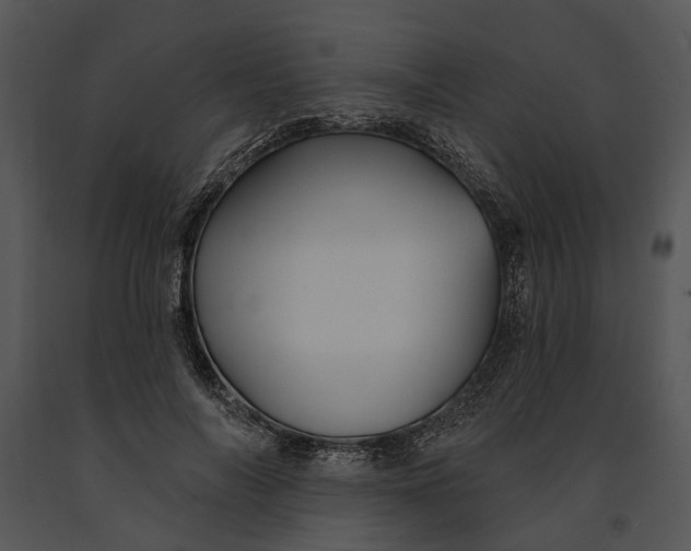 X0000091190694200708301237