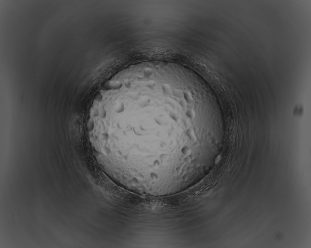 X0000091190695200708301237