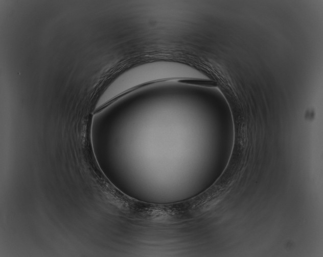 X0000091190697200708301237