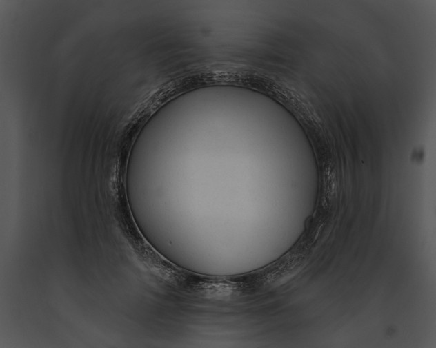 X0000091190698200708301237