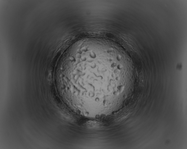 X0000091190699200708301237