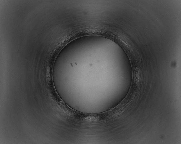 X0000091190700200708301237