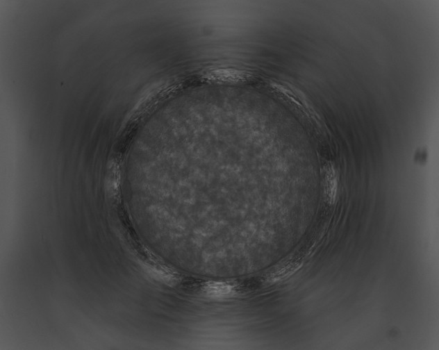 X0000091190701200708301237