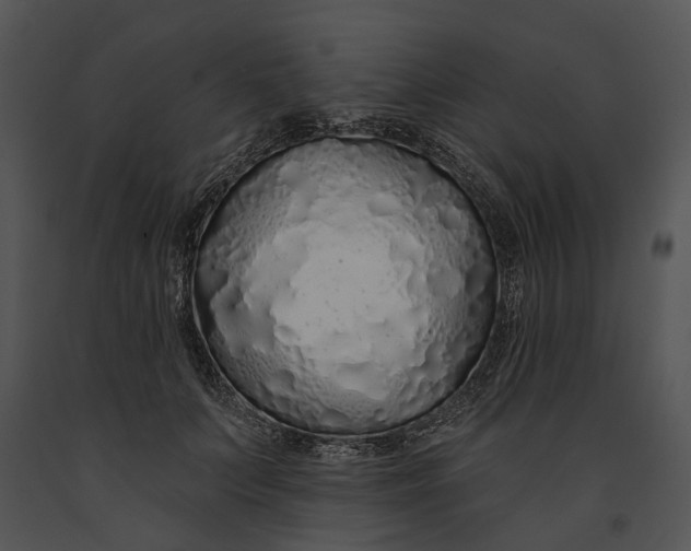 X0000091190703200708301237