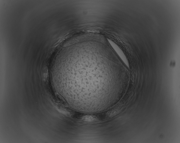 X0000091190704200708301237