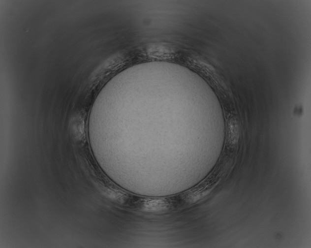 X0000091190705200708301237