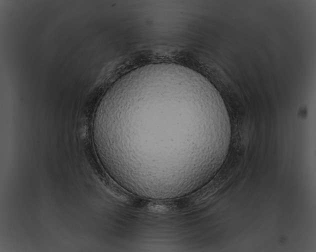 X0000091190706200708301237