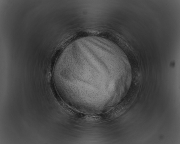 X0000091190707200708301237