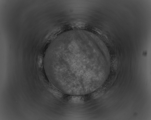 X0000091190709200708301237