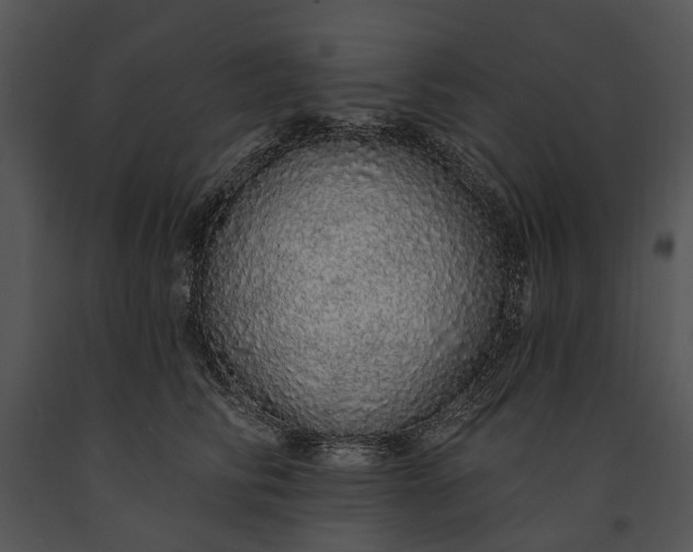 X0000091190710200708301237