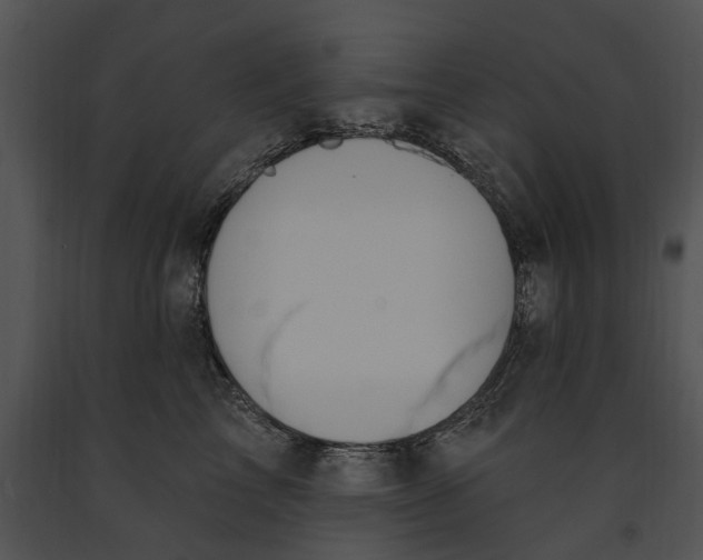 X0000091190713200708301237