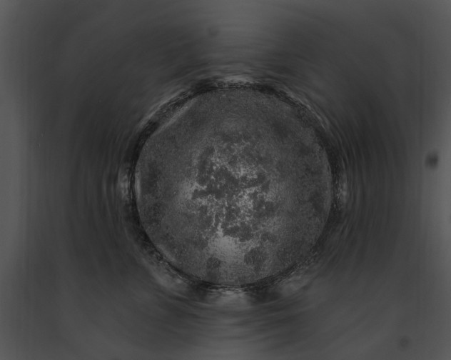 X0000091190715200708301237