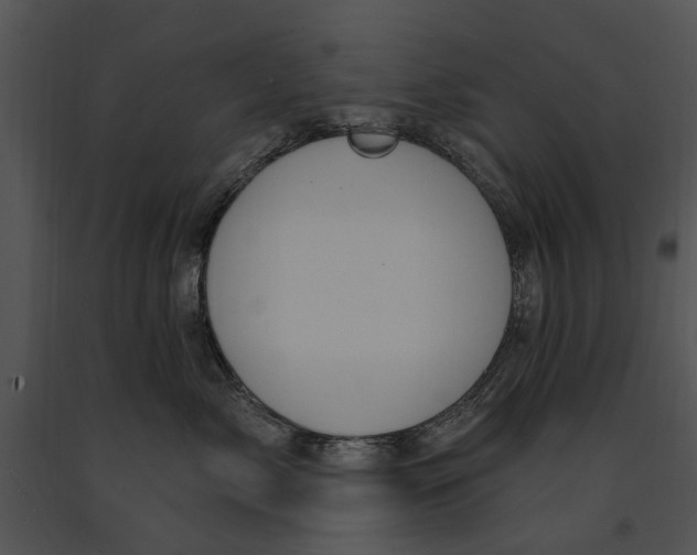 X0000091190717200708301237