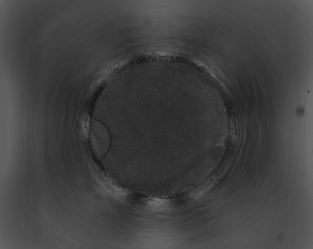 X0000091190718200708301237