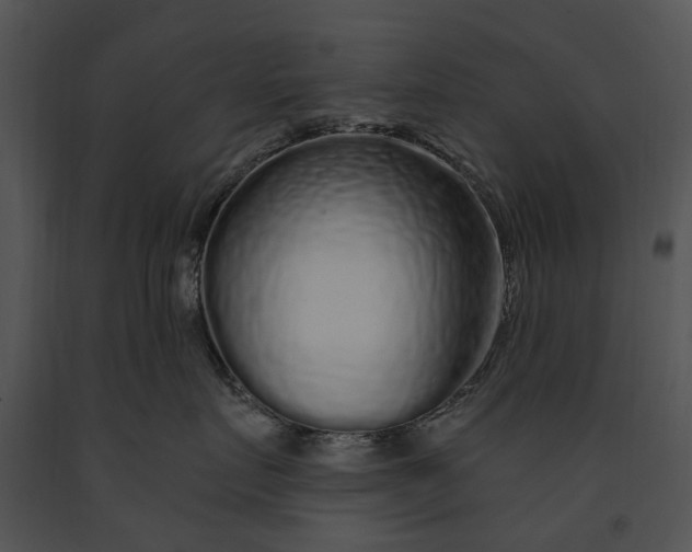 X0000091190719200708301237