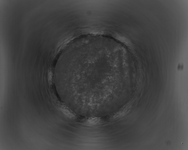 X0000091190720200708301237