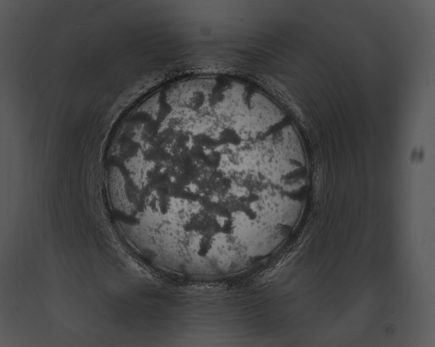 X0000091190721200708301236