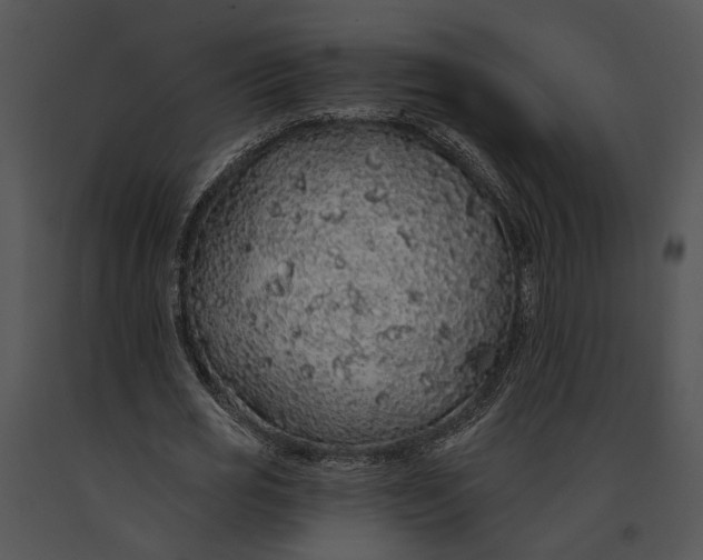 X0000091190725200708301236