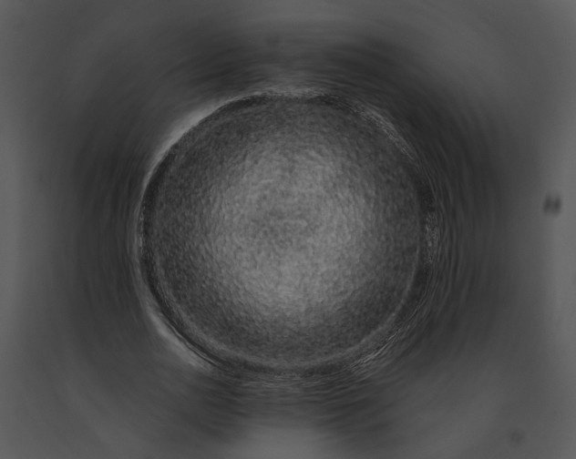 X0000091190726200708301236