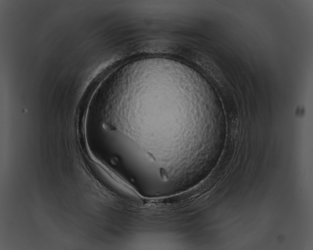 X0000091190727200708301236