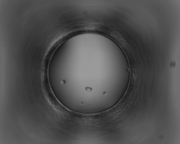 X0000091190728200708301236