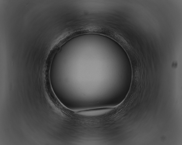 X0000091190730200708301236