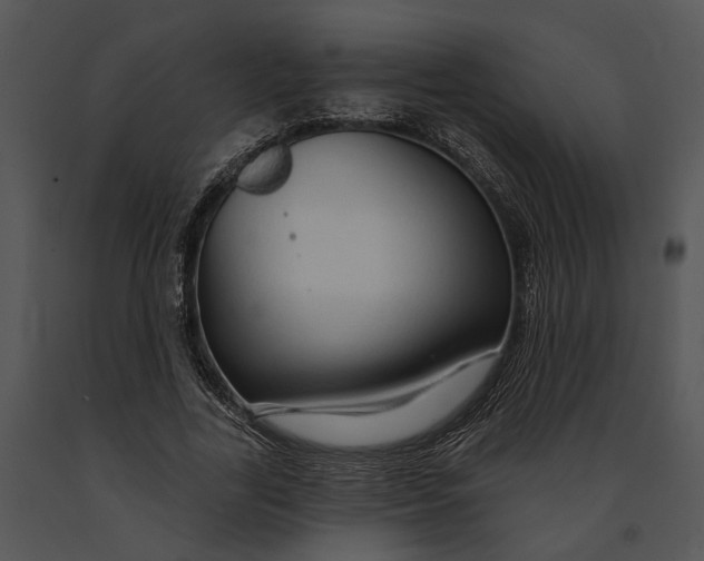 X0000091190731200708301236