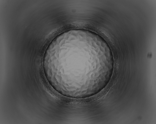 X0000091190733200708301236