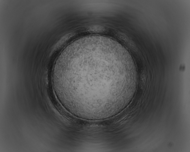 X0000091190734200708301236