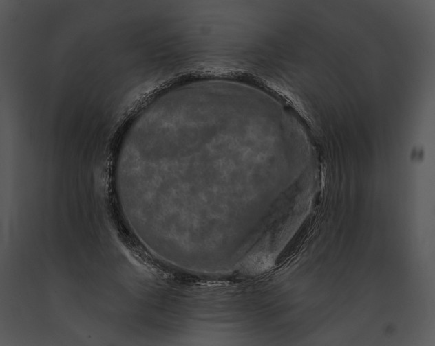 X0000091190736200708301237