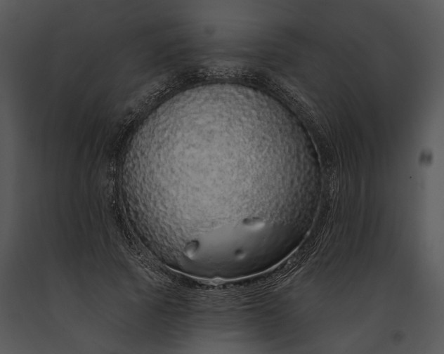 X0000091190737200708301237