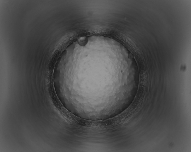 X0000091190738200708301237