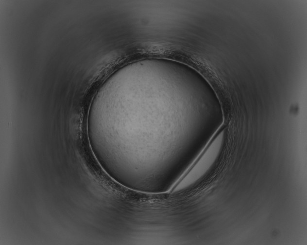 X0000091190739200708301237