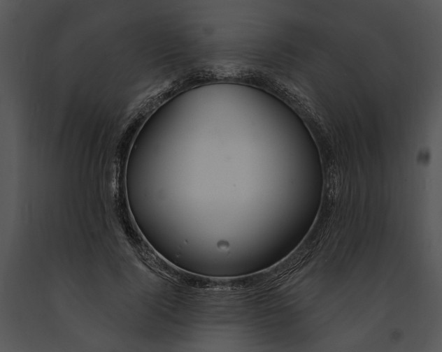 X0000091190740200708301237