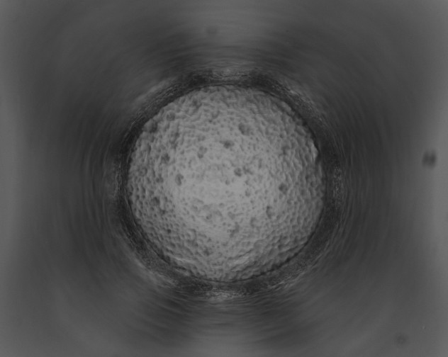 X0000091190741200708301237