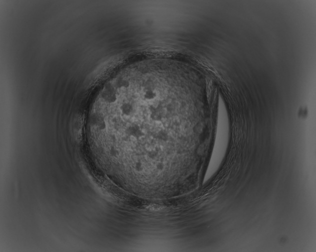 X0000091190742200708301237