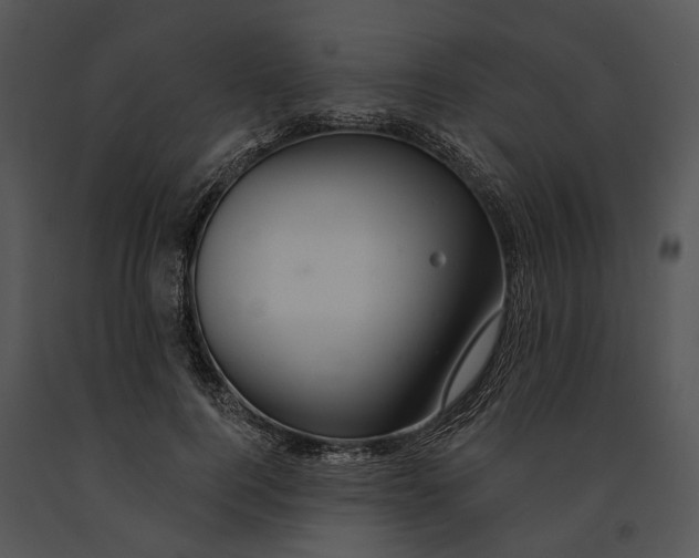 X0000091190744200708301237