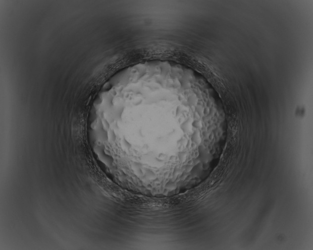 X0000091190745200708301237