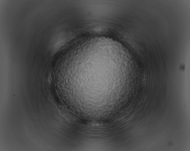 X0000091190746200708301237