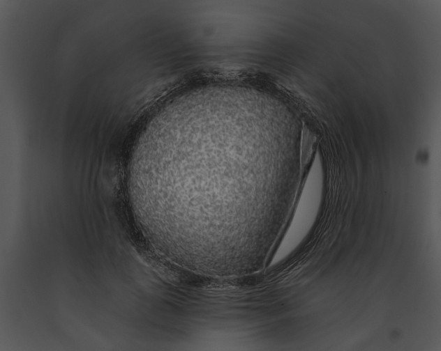 X0000091190747200708301237