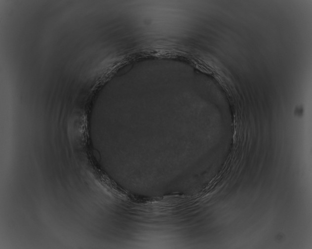 X0000091190748200708301237