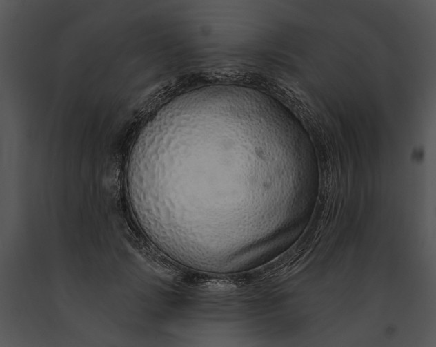 X0000091190749200708301237