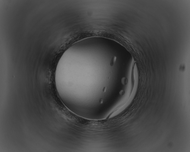 X0000091190750200708301237